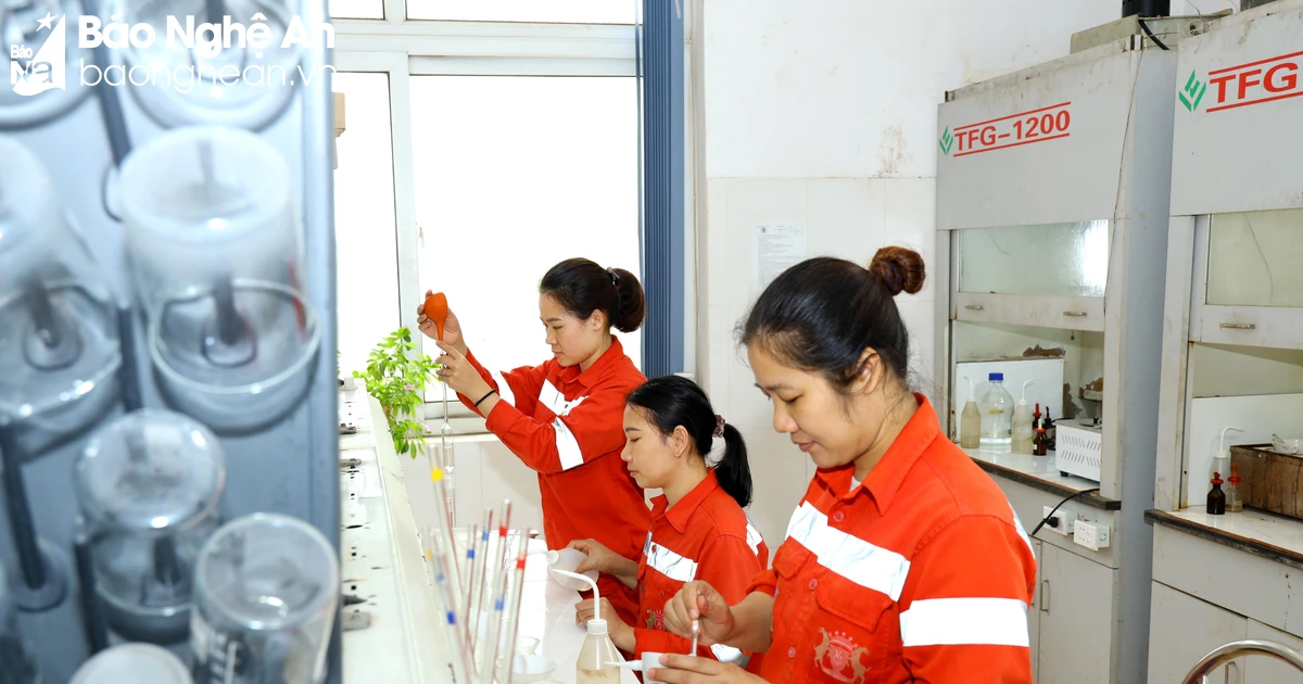 Cần tuyển nhiều vị trí việc làm tại Công ty Cổ phần Xi măng Sông Lam