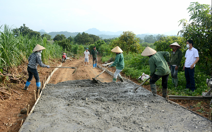 Sở Nông nghiệp và Phát triển nông thôn trả lời cử tri xã Kim Thành, huyện Yên Thành về ứng trước xi măng để hoàn thành tiêu chí giao thông nông thôn
