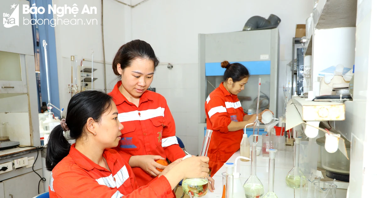 Tuyển nhân sự làm việc tại Công ty Cổ phần Xi măng Sông Lam Nghệ An